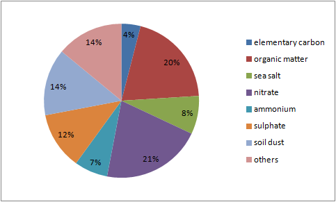 PM composition pie chart