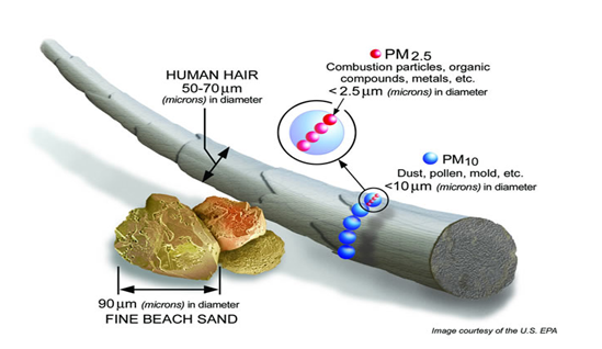 What is PM10 and PM2.5? — English